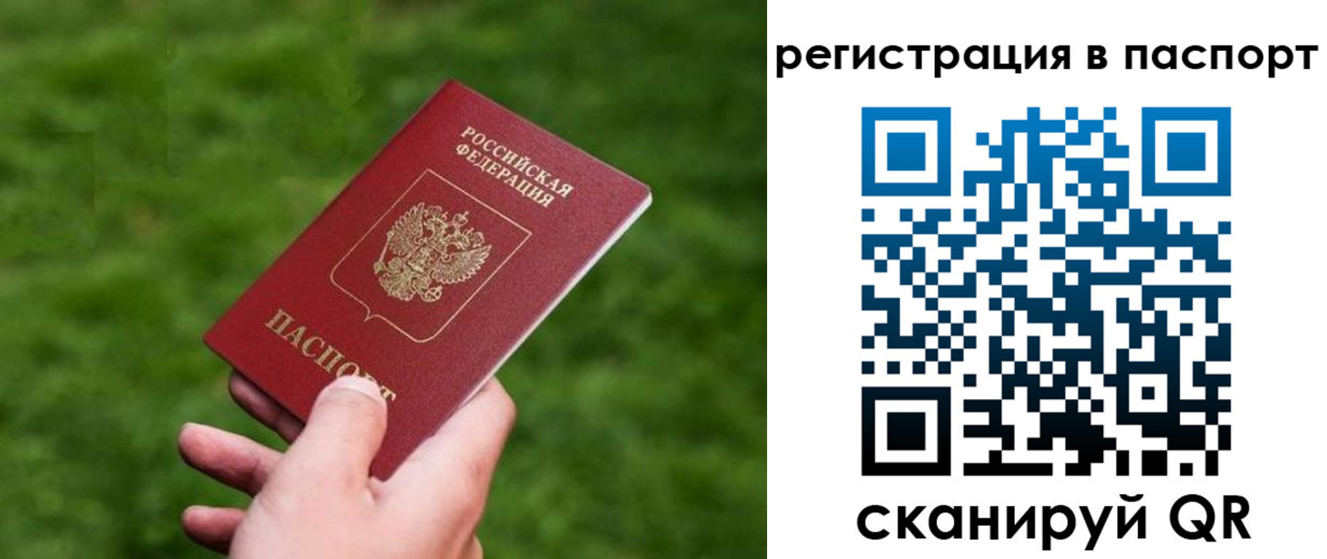 пропишу в квартире в Щёкино